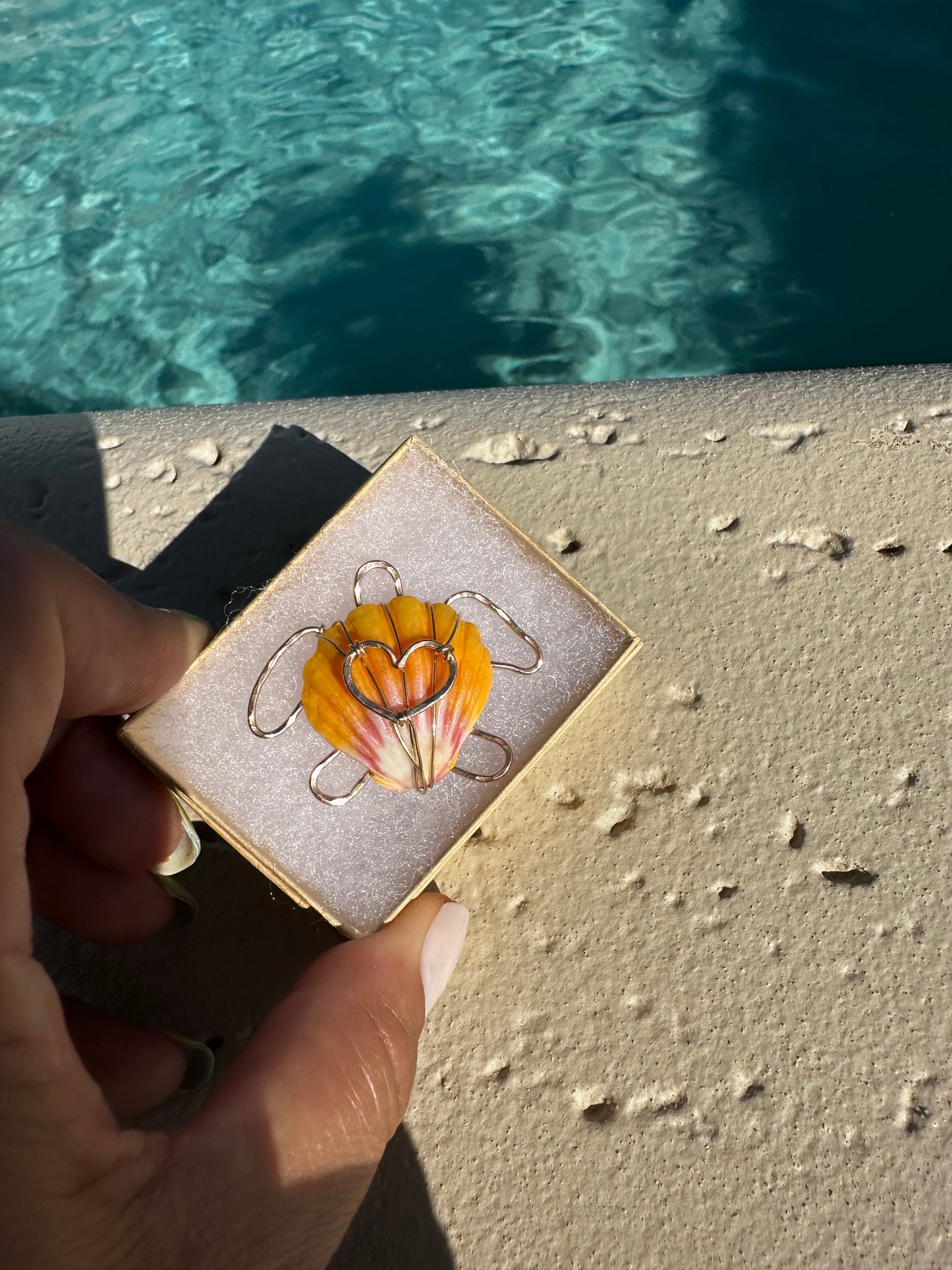 Honu Sunny